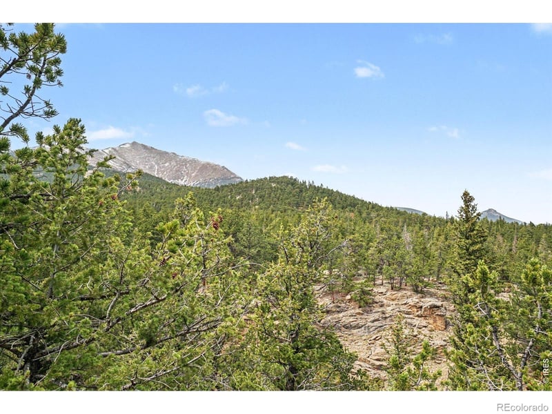 12190 Highway 7 , Allenspark, CO 80510