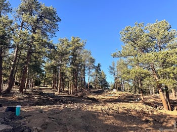 49 Pine Dr, Lyons, CO 80540