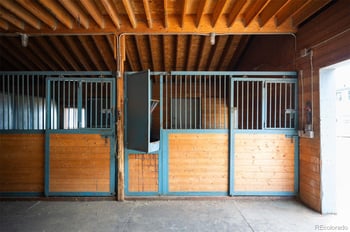 13991 Jubilee Trl, Pine, CO 80470