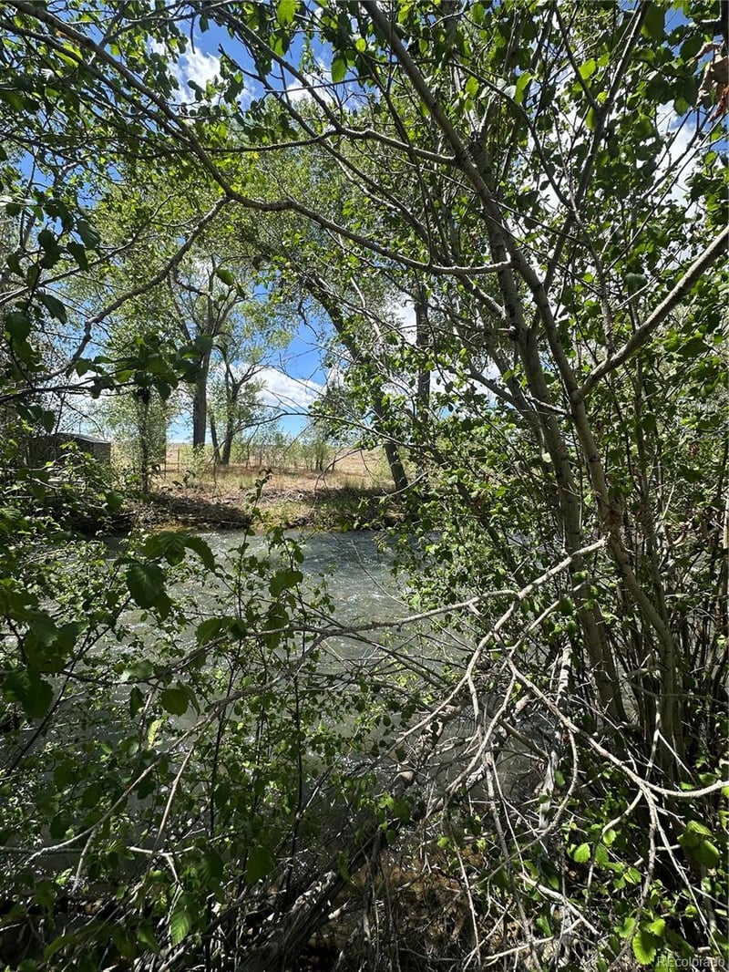 Lot 109 Alamosa River Est, Capulin, CO 81124