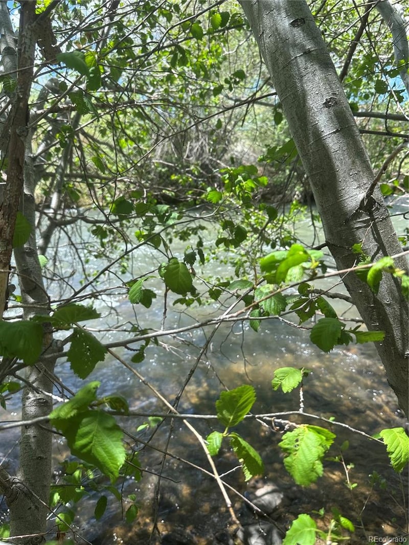 Lot 109 Alamosa River Est, Capulin, CO 81124