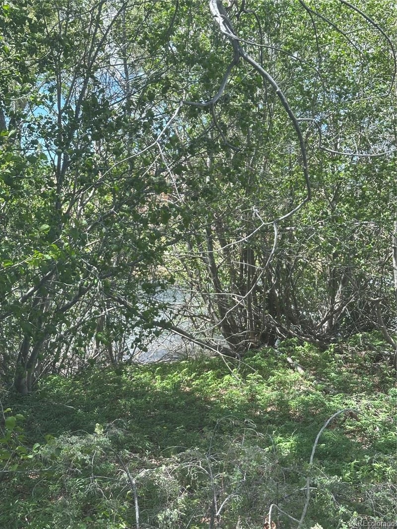 Lot 109 Alamosa River Est, Capulin, CO 81124