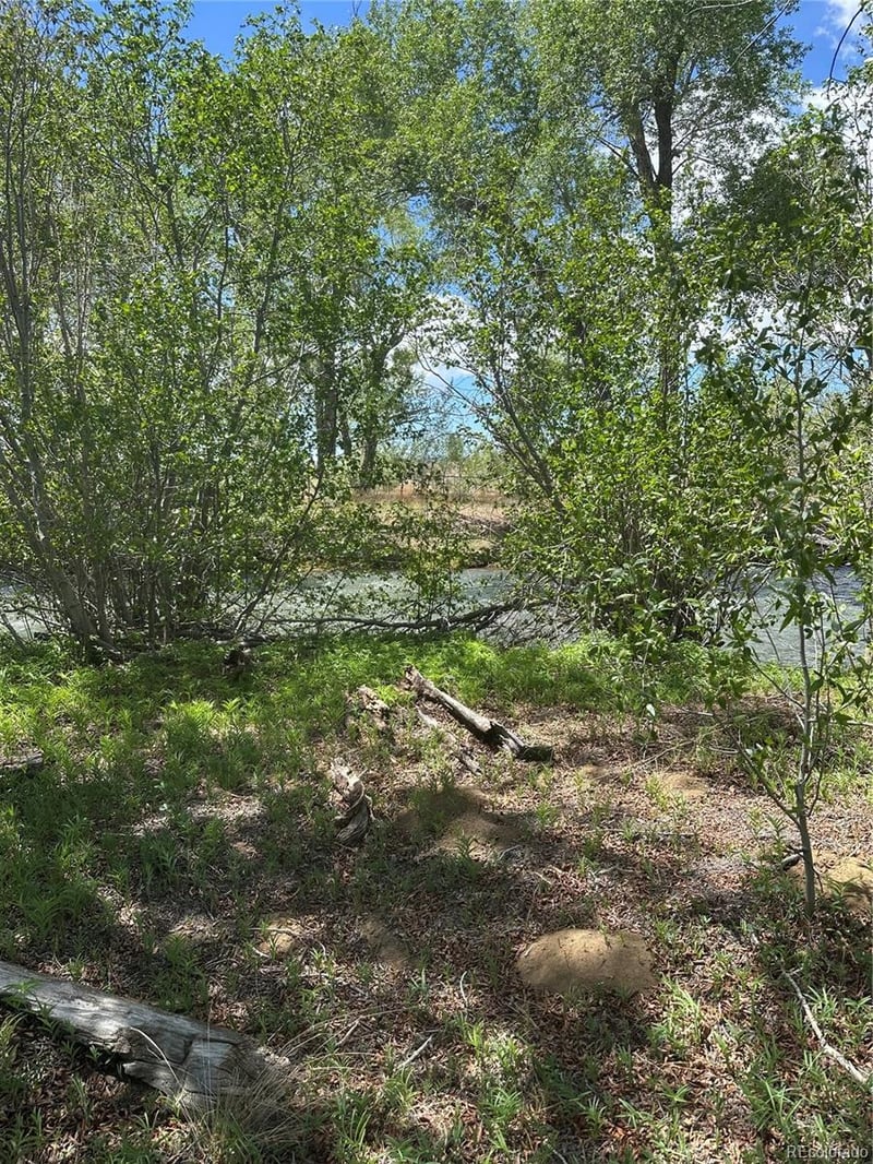Lot 109 Alamosa River Est, Capulin, CO 81124