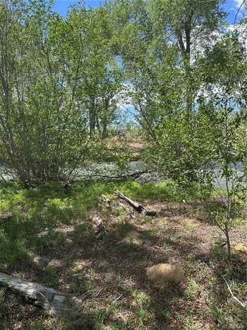Lot 109 Alamosa River Est, Capulin, CO 81124