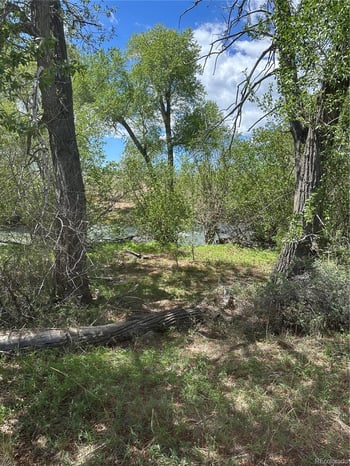 Lot 109 Alamosa River Est, Capulin, CO 81124