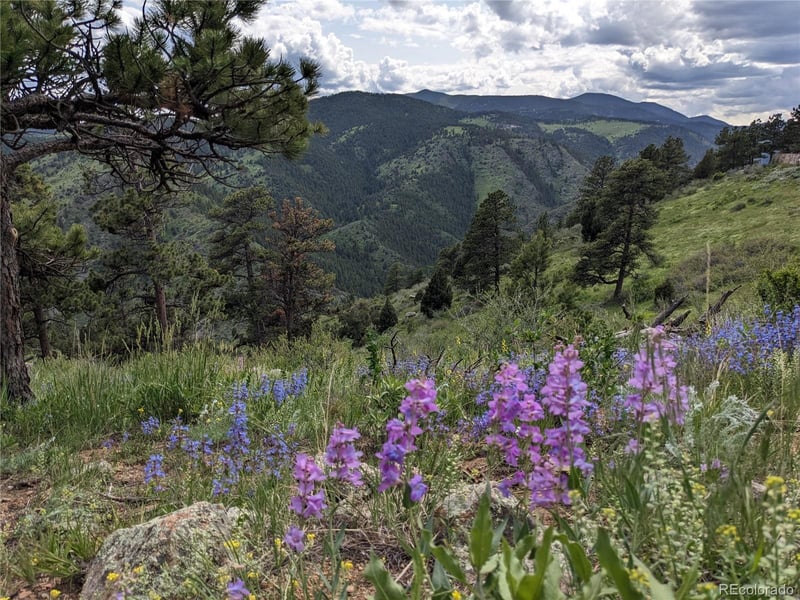 25421 Westridge Rd, Golden, CO 80403