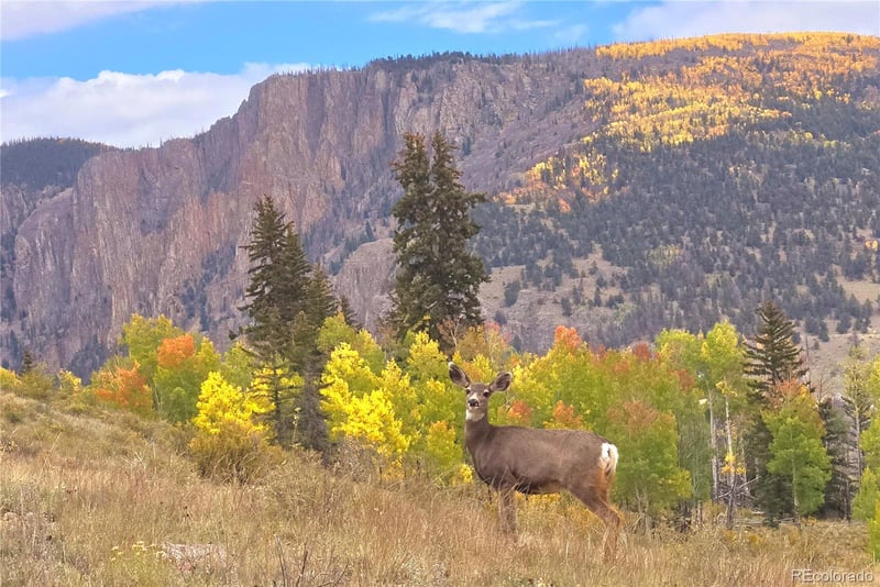 487 County Road 504 Bachelor Loop, Creede, CO 81130