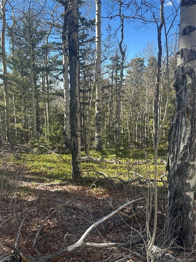 Lot 6744 Starkweather Rd, San Luis, CO 81152