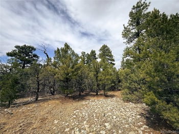 76 Mill Run Rd, Mosca, CO 81146