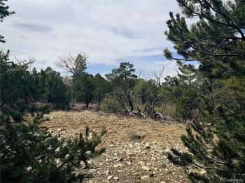 76 Mill Run Rd, Mosca, CO 81146