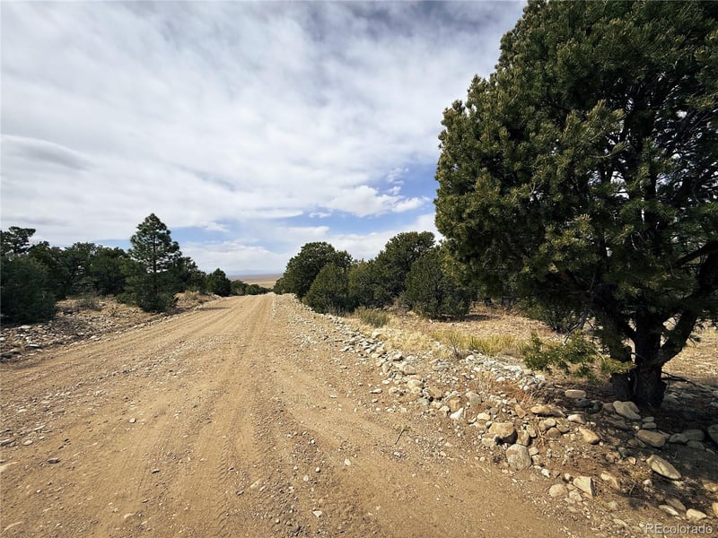 76 Mill Run Rd, Mosca, CO 81146