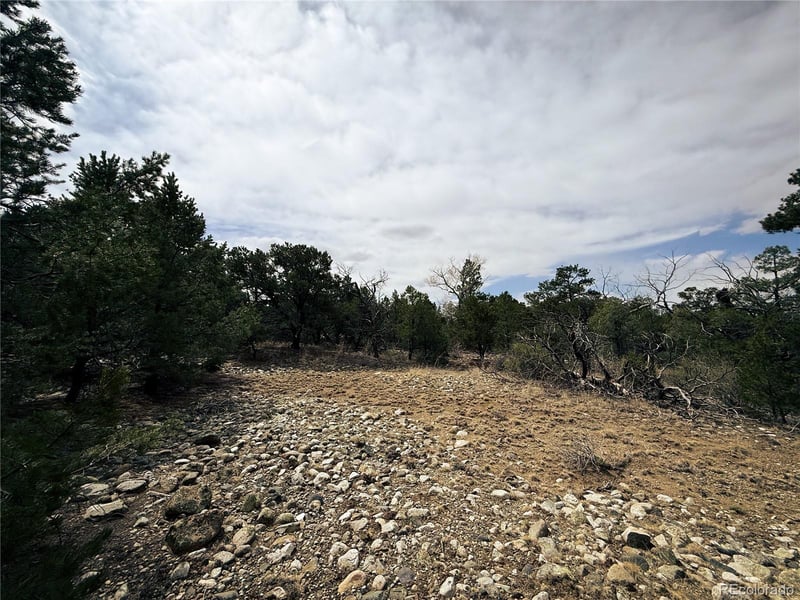 76 Mill Run Rd, Mosca, CO 81146