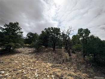 76 Mill Run Rd, Mosca, CO 81146