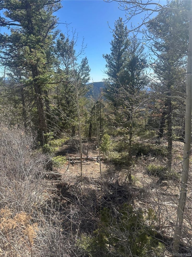 Lot 6742 Starkweather Rd, San Luis, CO 81152