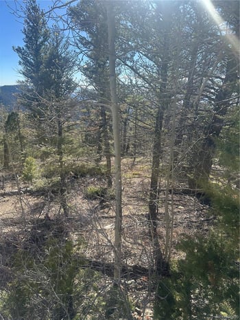 Lot 6742 Starkweather Rd, San Luis, CO 81152
