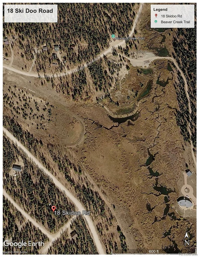18 Ski Doo Rd, Fairplay, CO 80440