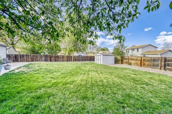 9384 Bellaire St, Thornton, CO 80229