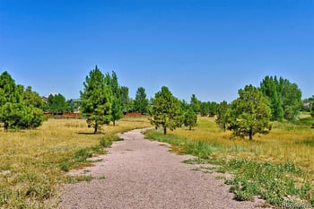 16221 White Hawk Dr, Parker, CO 80134
