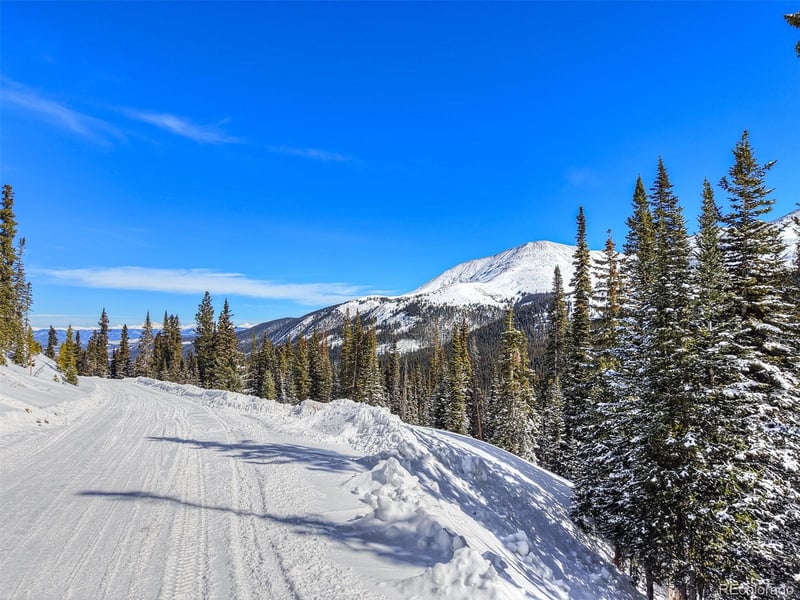 484 Carroll Ln, Breckenridge, CO 80424
