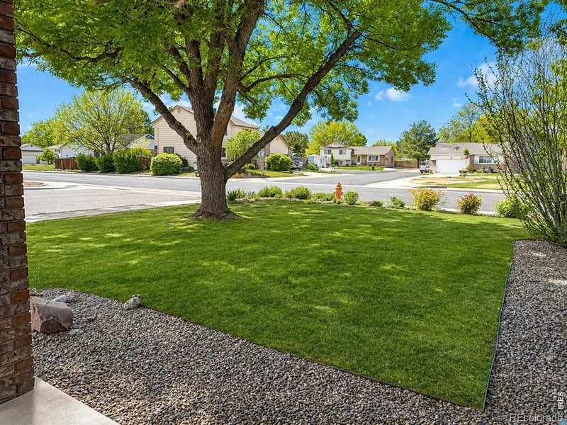 1044 Blue Spruce Dr, Loveland, CO 80538
