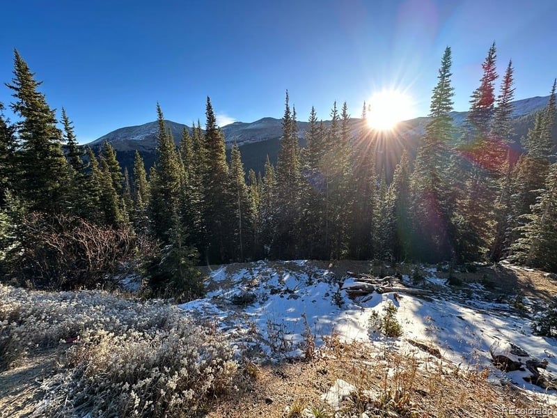 504 Carroll Ln, Breckenridge, CO 80424
