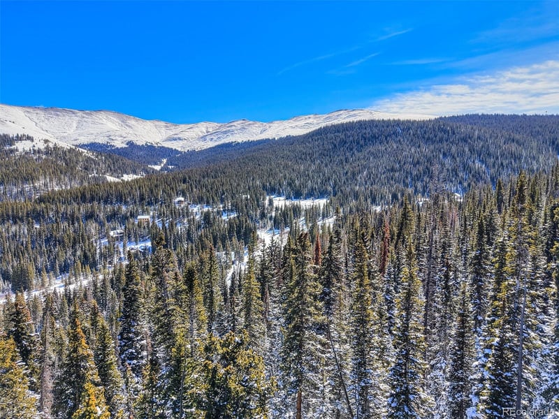 504 Carroll Ln, Breckenridge, CO 80424
