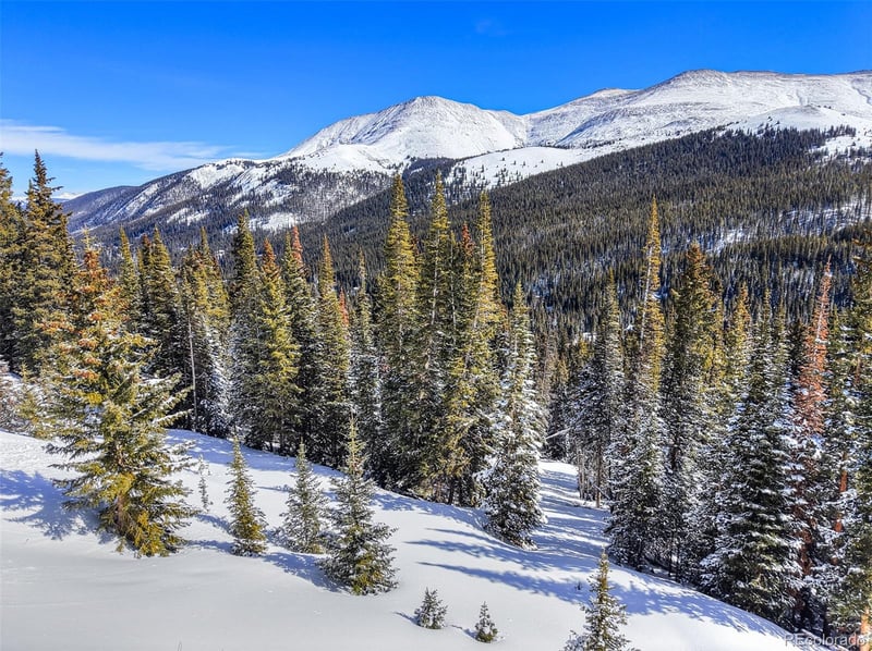 504 Carroll Ln, Breckenridge, CO 80424