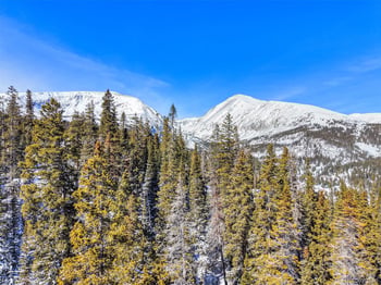 543 Carroll Ln, Breckenridge, CO 80424