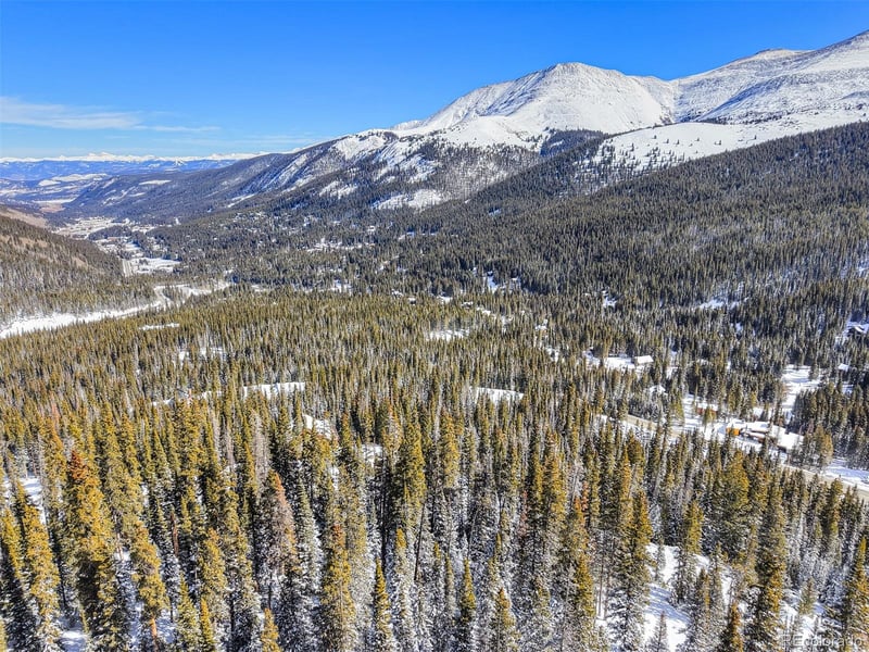 543 Carroll Ln, Breckenridge, CO 80424
