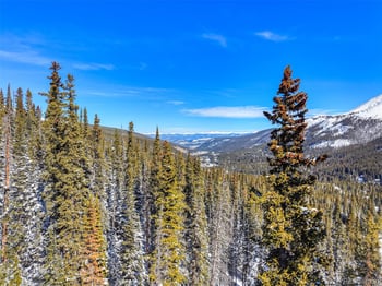513 Carroll Ln, Breckenridge, CO 80424