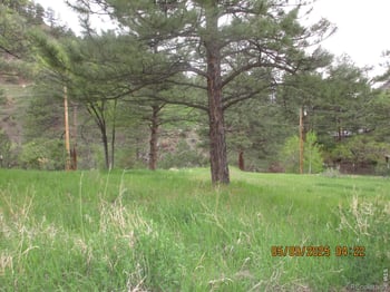 Tbd Bartram Pk, Loveland, CO 80537