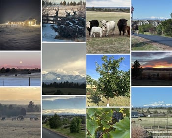 1489 E Rim Rd, Franktown, CO 80116