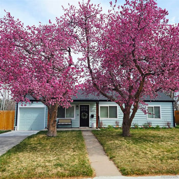 2876 S Elm St, Denver, CO 80222