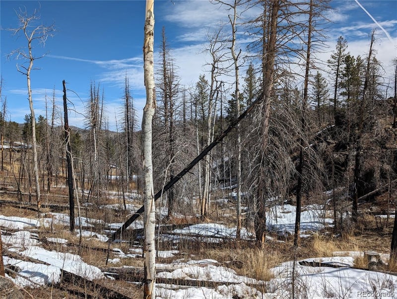 60 Powder Horn Trl, Bellvue, CO 80512