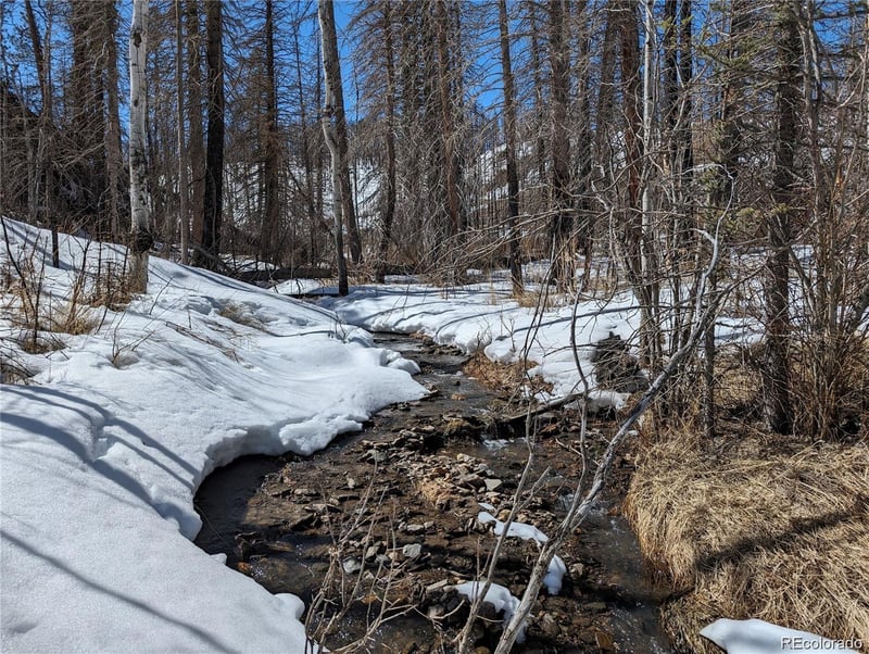 60 Powder Horn Trl, Bellvue, CO 80512