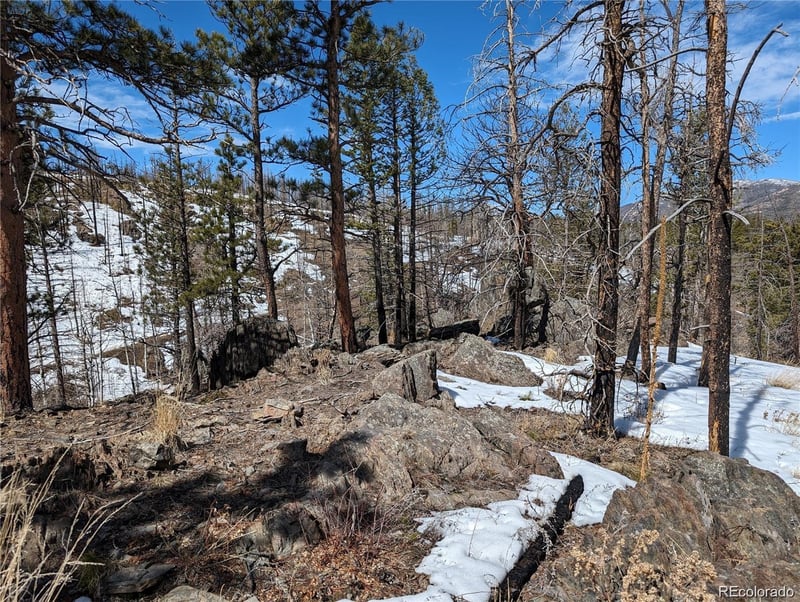 60 Powder Horn Trl, Bellvue, CO 80512