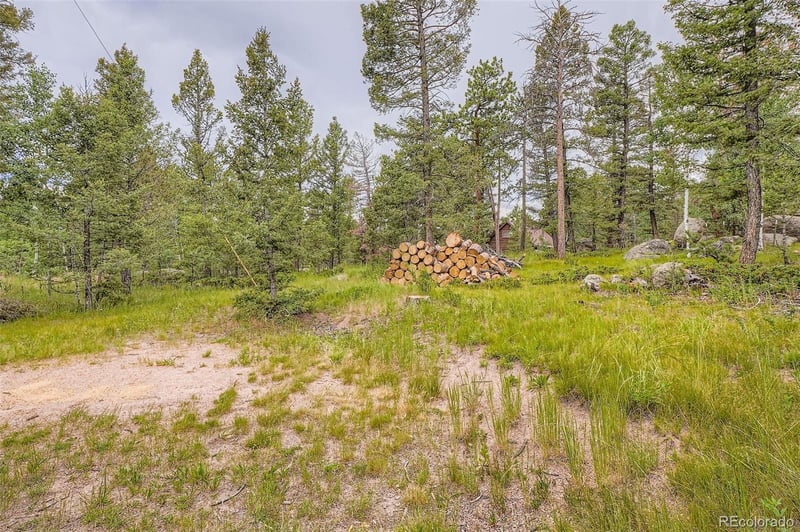 30520 Rand Rd, Conifer, CO 80433
