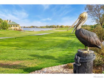 352 Baja Dr, Windsor, CO 80550