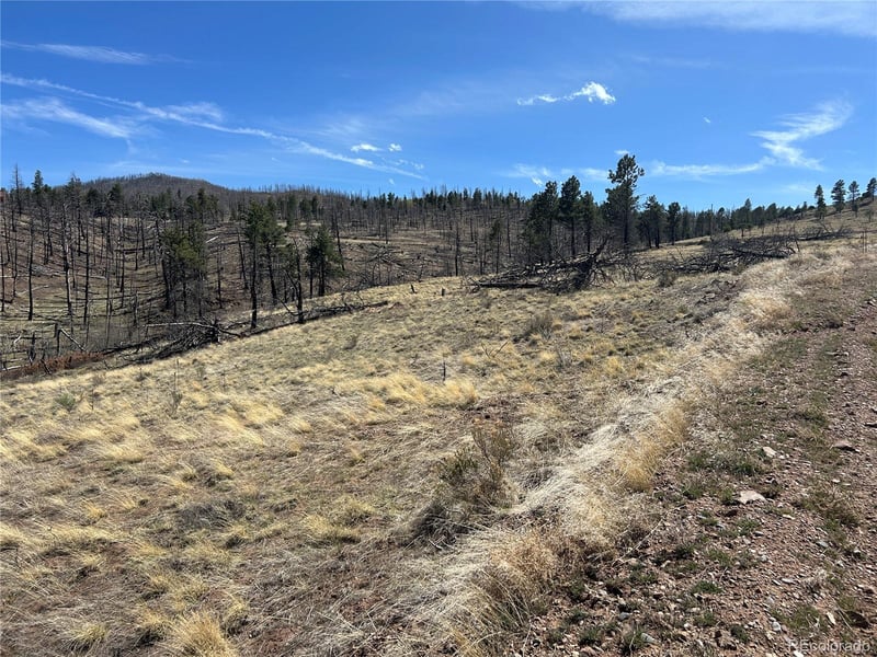 Lot 184 Forbes Pk, Fort Garland, CO 81133