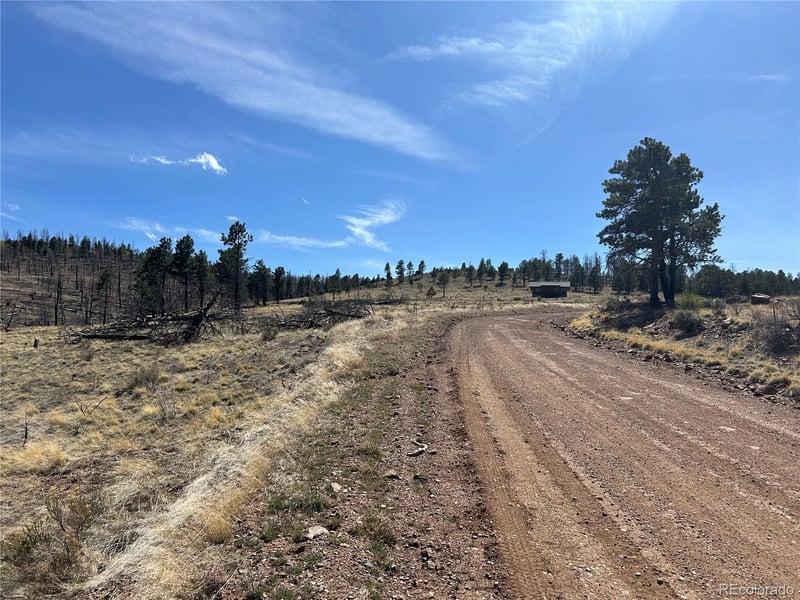 Lot 184 Forbes Pk, Fort Garland, CO 81133