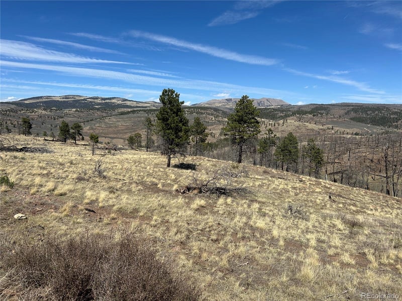 Lot 184 Forbes Pk, Fort Garland, CO 81133