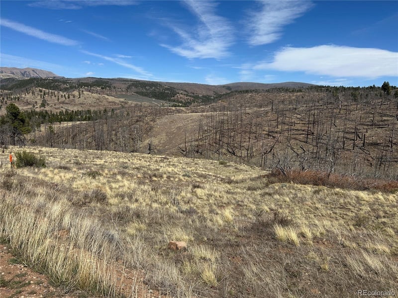 Lot 184 Forbes Pk, Fort Garland, CO 81133