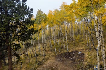 Robinson Hill Rd, Golden, CO 80403