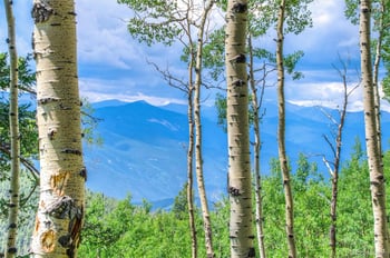 Robinson Hill Rd, Golden, CO 80403