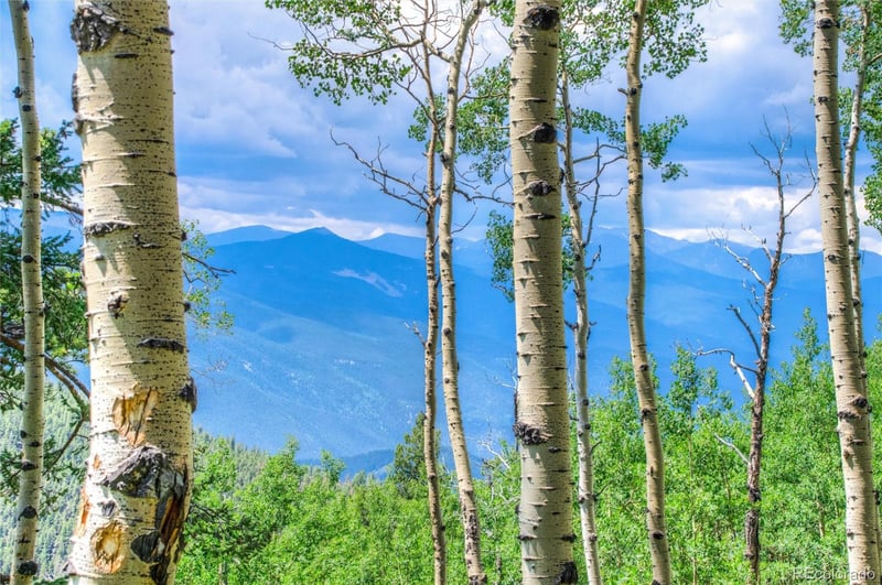 0 Robinson Hill Rd, Golden, CO 80403