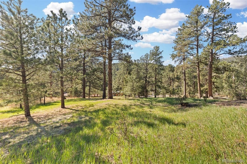 7186 Julie Ln, Evergreen, CO 80439