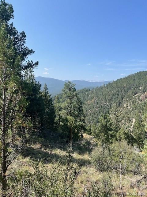 000 Raven Dr, Idaho Springs, CO 80452
