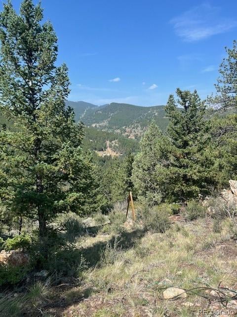 000 Raven Dr, Idaho Springs, CO 80452