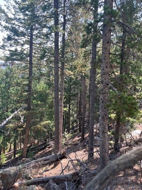 000 Raven Dr, Idaho Springs, CO 80452