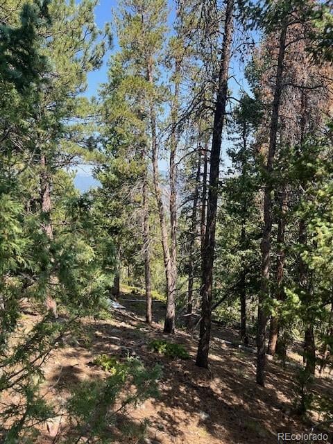 000 Raven Dr, Idaho Springs, CO 80452